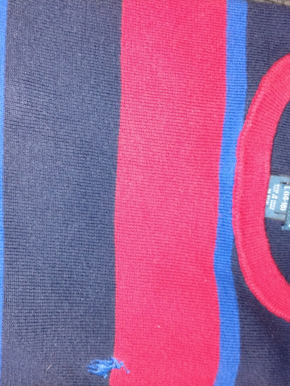 Ralph Lauren Junior's Crewneck Sweater in Navy, Red and Blue
